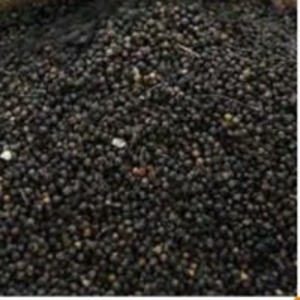 Whole Black Pepper by  Nilshantideep Enterprises 