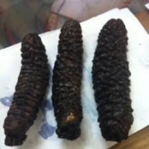  Grade A Sea Cucumber And Fish Maw 