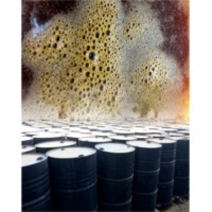 Fish Oil by  Speedpial Trading Llc 