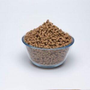 Compound Animal Feed by  R.G.Sundar & Co 