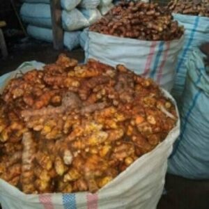 Fresh Tumeric by  Cv. Jmj Global Winpex 