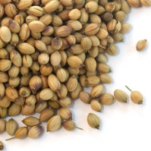 Coriander Seeds by  Chetty Exports 