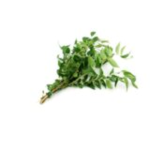 Curry Leaf by  Chetty Exports 