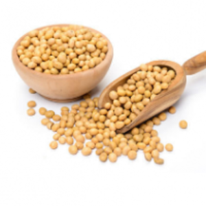 Soybean by  Chetty Exports 