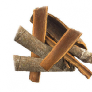 Cassia by  Chetty Exports 