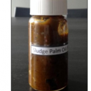 Palm Sludge Oil (Spo)  by  Axtrium Sdn Bhd 