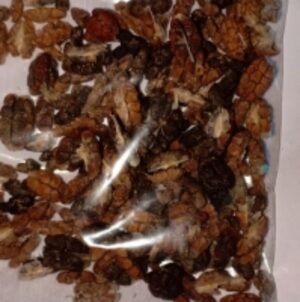 Green Cardamom Seeds by Jona Worldwide