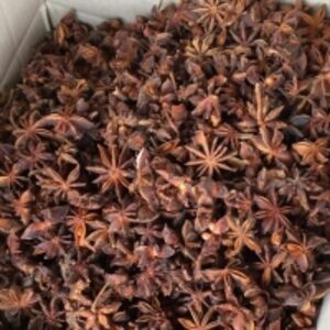 Star Anise by  Jona Worldwide 