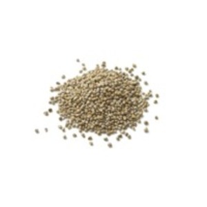 Millet Or Bajra by  Tulip International 