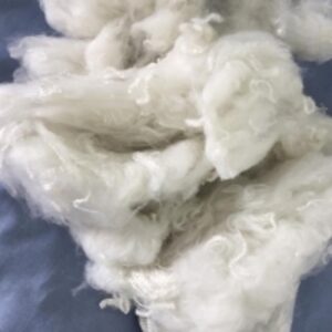  Recycled Polyester Staple  Fibre ( Raw White ) 