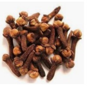 Cloves by  J And B Techno Advance 