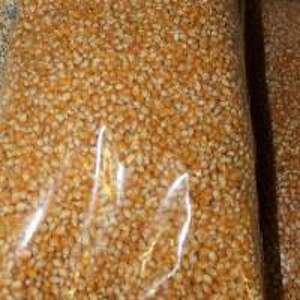 Pop Corn Kernels - Image 2