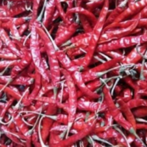 Teja S17 Dried Red Chilli by  G.K.J Exports 