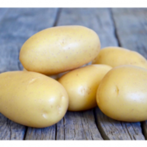 Potato by  Pro Export Pvt Ltd 