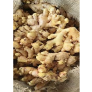 Ginger by  Srrf Global 