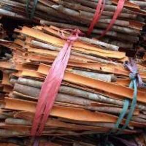 Cassia Split - Image 4