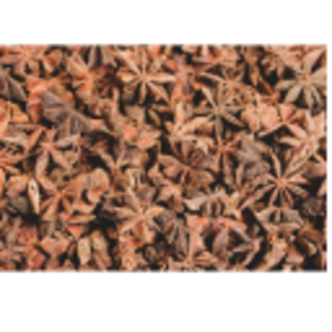 Star Anise by  Maritech Logistics 