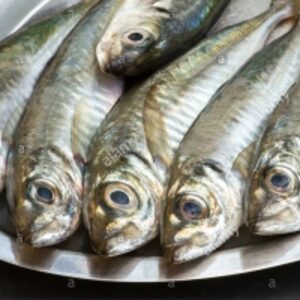  China Seafood Whole Part Pacific Mackerel Fresh 