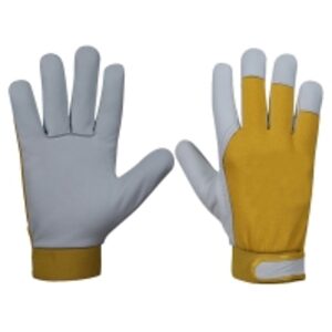 Assembly Gloves by  Raxel Pak Industry 