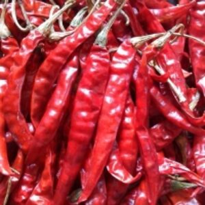  Sanam 334 Dry Red Chilli (Genus Capsicum) 