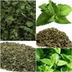 Peppermint by  Organic Herbs Of Egypt 