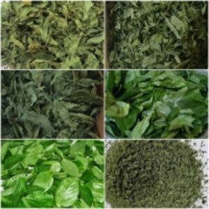 Molokia by  Organic Herbs Of Egypt 