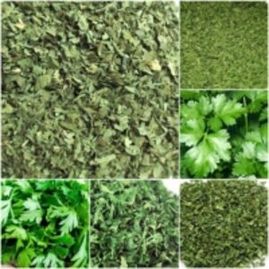 Coriander by  Organic Herbs Of Egypt 