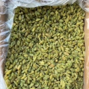  Chinese Green Raisin  by  Turpan Green Ruby Fresh & Dried Fruit Ltd. 