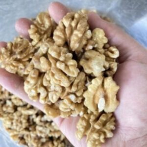 Walnut Kernel by  Turpan Green Ruby Fresh & Dried Fruit Ltd. 
