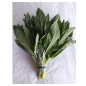 Sage Bunch by  Ahavah Farms Ltd 