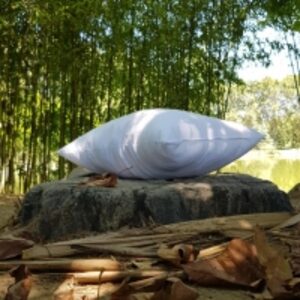 Golden Pillow by  Emisa Group Turkey Export & Import 