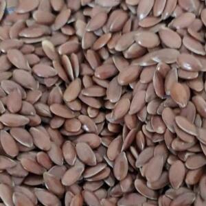 Brown Flax Seeds by SNI Commerce