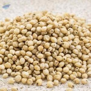 White Sorghum by  SNI Commerce 