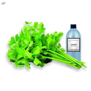 Celery Essential Oil by  Pulau Tani Sejahtera, PT 