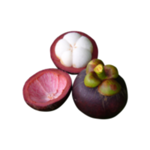 Fresh Mangosteen by  Pt. Global Fajar Indonesia 