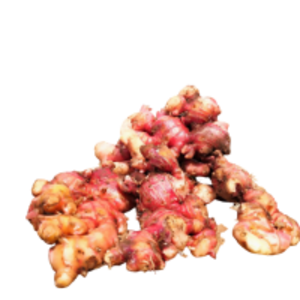 Red Ginger by  Pt. Global Fajar Indonesia 