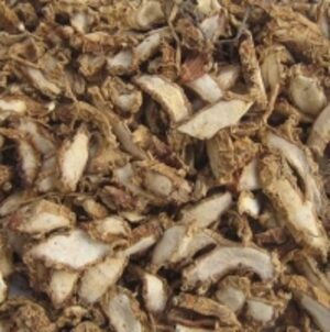 Kaemperia Galanga by  Reddis N.P. International 