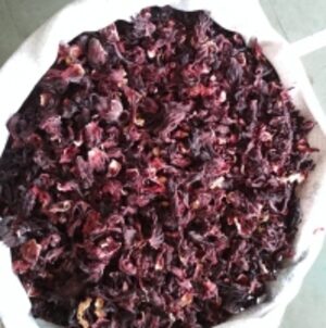  Hibiscus Sabdariffa  by  Reddis N.P. International 