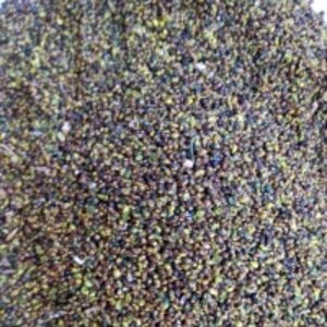 Ulex Europaeus by  Reddis N.P. International 