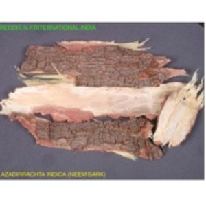 Neem Bark by  Reddis N.P. International 