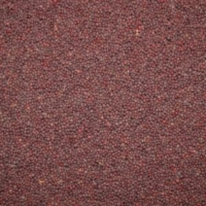 Mustard Seeds by  Reddis N.P. International 