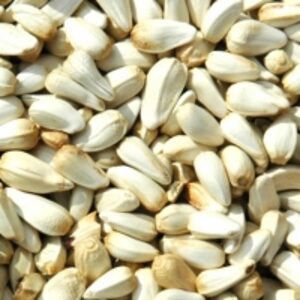 Safflower Seed by  Reddis N.P. International 