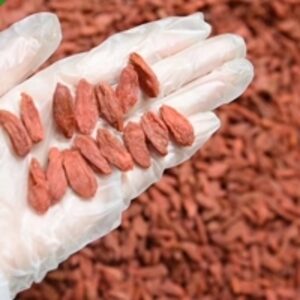 Dried Goji Berries Wolfberry