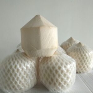 Tender &amp; Young Coconut by  PT. Henson Jaya Bersama 