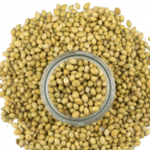 Coriander Seed by  Natural Organic & Inorganic Food Suppliers 