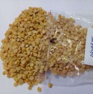Pigeon Peas Gold by  Dinetic Organic Pvt. Ltd. 