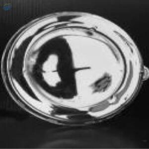 Pet Lid 01 by The Terra Vietnam Company Ltd.