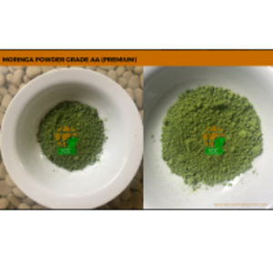 Moringa Powder by  Indo Commodity Centre 