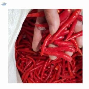  Red Chillies  by  Cic Export And Import And Distributors 