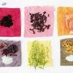  Natural Dye For Textiles  - Image 2